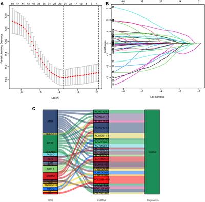 A Novel Necroptosis-Associated IncRNAs Signature for Prognosis of Head and Neck Squamous Cell Carcinoma